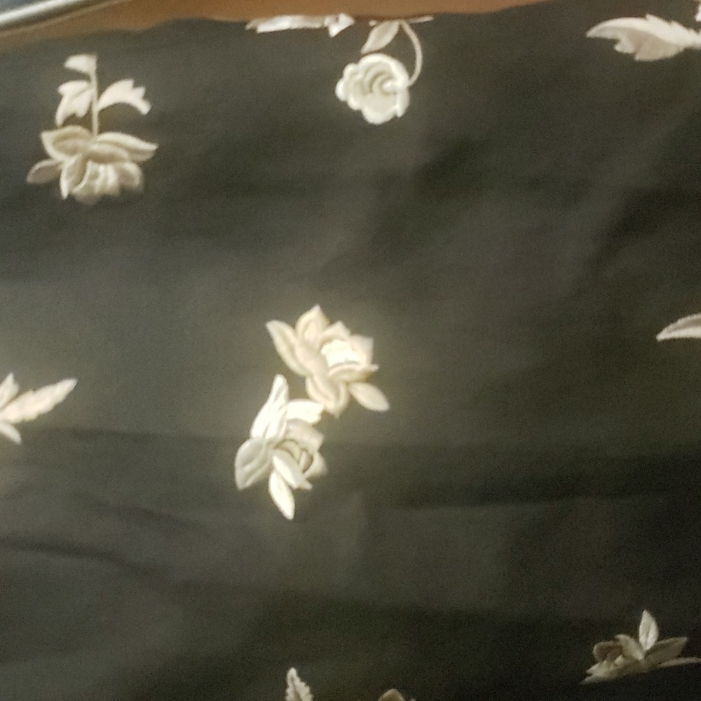 Dana buchman silk pants size 2
